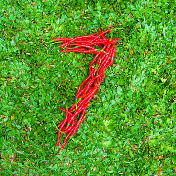 "7 "grupo em forma de símbolo de pimentas vermelhas — Fotografia de Stock