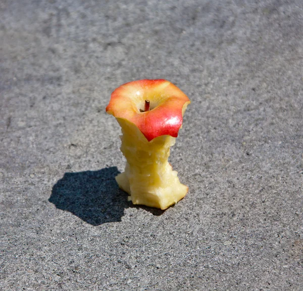 Apple core on a grey stone — Stock Photo, Image