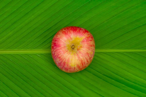 Red apple on a banana leaf — Stock Photo, Image