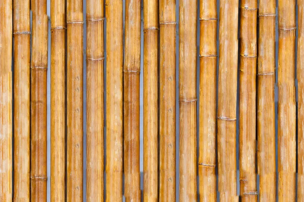 Bamboo fence seamless texture — Stock Photo, Image