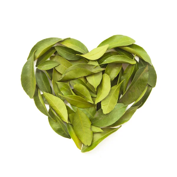 Gruppo di foglie di mandarino a forma di cuore — Foto Stock