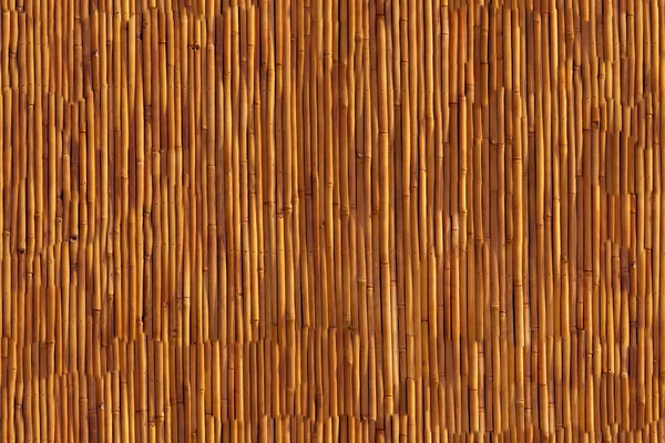 Textura de parede de bambu — Fotografia de Stock