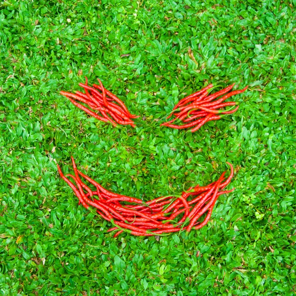 Smiley sign on the green grass — Stock Photo, Image