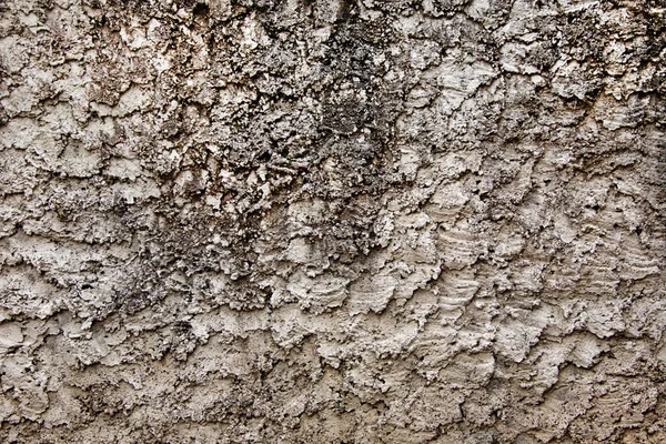 Textura de gesso de parede velha — Fotografia de Stock