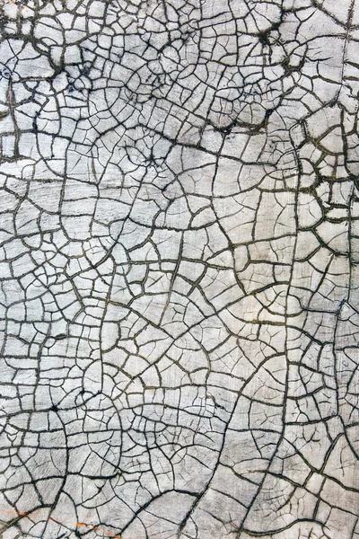 Crackled τοίχο υφή σοβά — Φωτογραφία Αρχείου