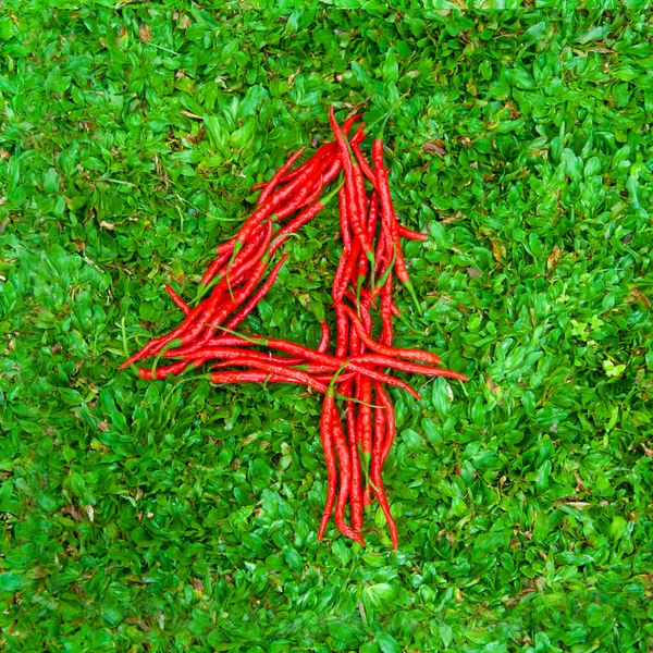 "4 "grupo en forma de símbolo de chiles rojos — Foto de Stock