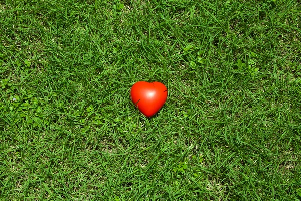 Kırmızı lastik kalp çimenlerin üzerinde — Stok fotoğraf