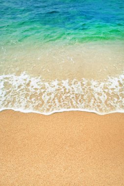 Bir deniz plajda sörf dalgası