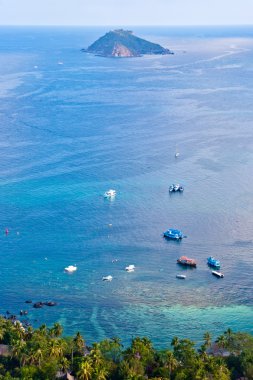 Koh Tao bay tekneler ile