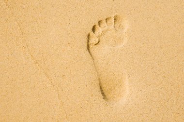 Sarı kum ayak izi
