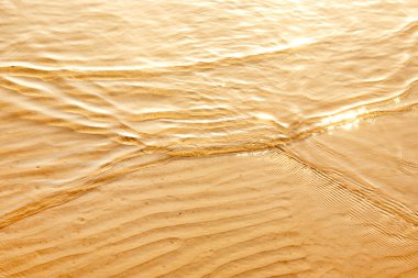 Sörf dalgalar sığ deniz