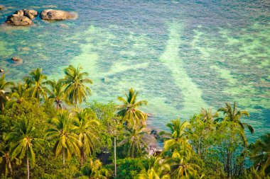 Koh Tao bay hava yolu
