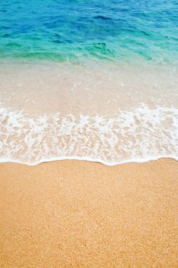Bir deniz plajda sörf dalgası