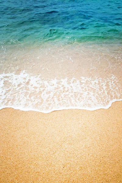 Bir deniz plajda sörf dalgası