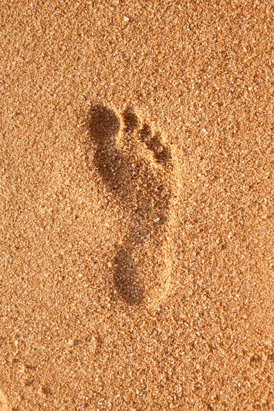 一个脚印在沙滩 — 图库照片