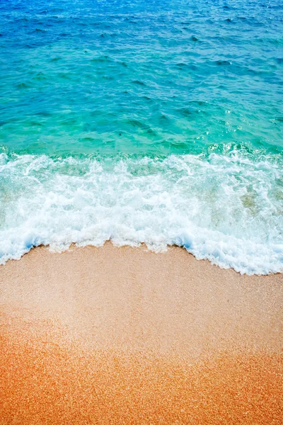 Bir deniz plajda sörf dalgası — Stok fotoğraf
