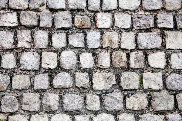 Stone pavement texture — Stock Photo, Image