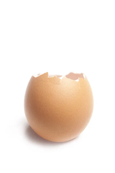 Bruten egghell på vit — Stockfoto