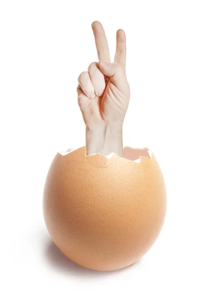 Разбитое яйцо на белом — стоковое фото