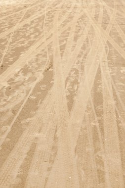 Kumda tekerlek izleri var.