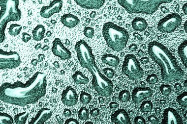 Su damlaları arka plan