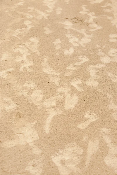 Tracks on the sand background — Stock Photo, Image