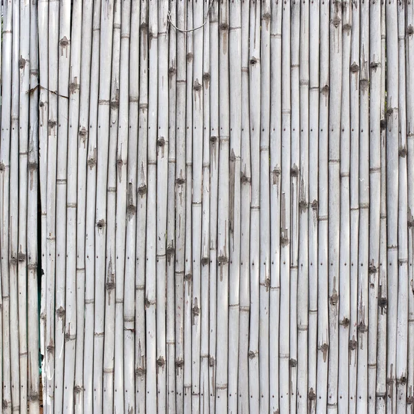 Fondo di bambù grigio — Foto Stock