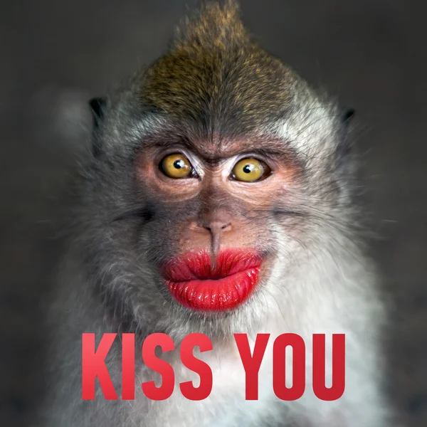 Macaco engraçado com lábios vermelhos — Fotografia de Stock