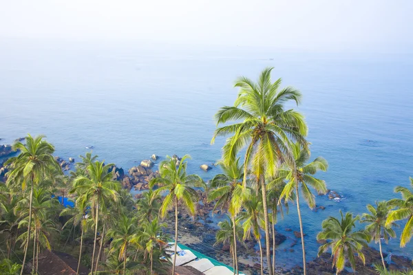 Selva y mar azul — Foto de Stock