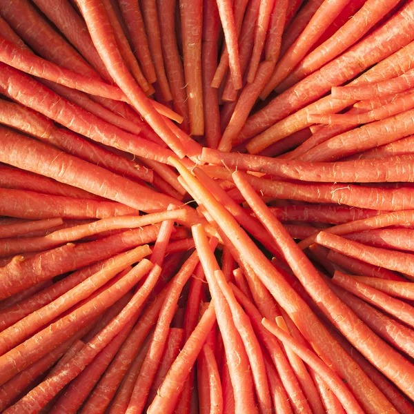 Cerchio di carote fresche — Foto Stock