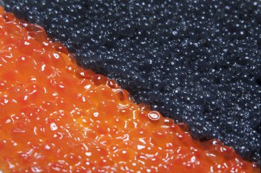 Kırmızı ve siyah havyar.