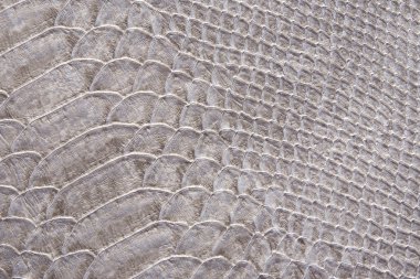 sürüngen cilt dokusunu