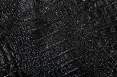 sürüngen cilt dokusunu