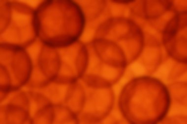 Soyut bulanık dokular