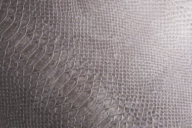 sürüngen cilt dokusunu