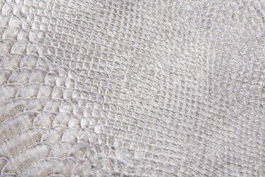 sürüngen cilt dokusunu