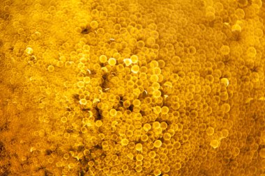 Soyut bulanık dokular