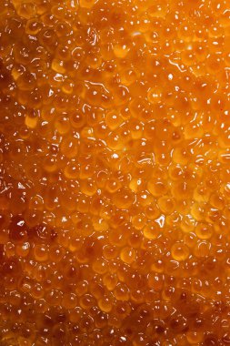 Kırmızı havyar dokusuna