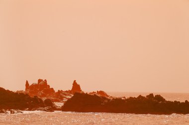 Tropik sahilde deniz