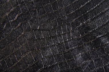 sürüngen cilt dokusunu