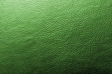 Deri yeşil doku