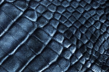 sürüngen cilt dokusunu