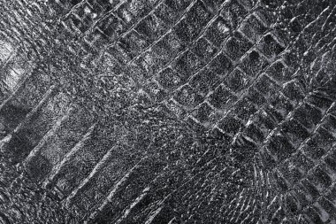 sürüngen cilt dokusunu