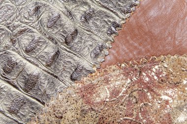 Dikişli deri parçaları