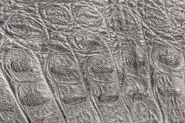 sürüngen cilt dokusunu