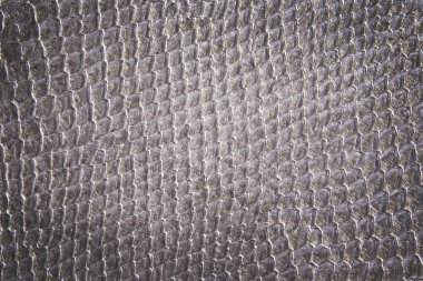 sürüngen cilt dokusunu