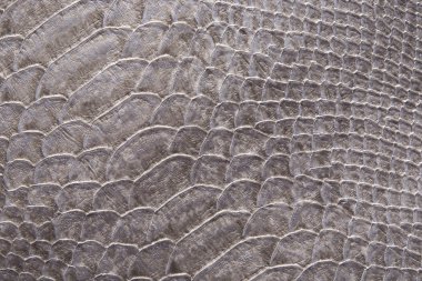 sürüngen cilt dokusunu