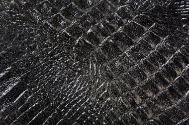 sürüngen cilt dokusunu