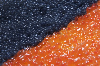 Kırmızı ve siyah havyar.