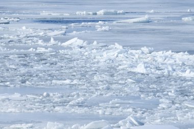 Bahar tatili Nehri üzerinde